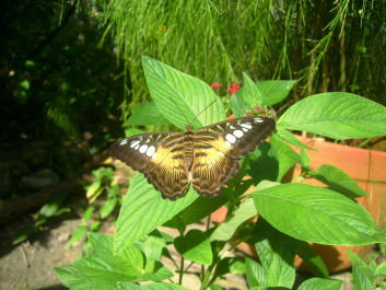 photo 671291