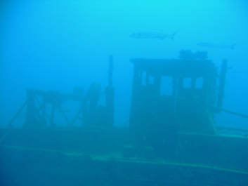 photo 671292