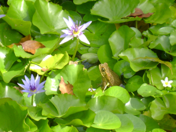 photo 671311