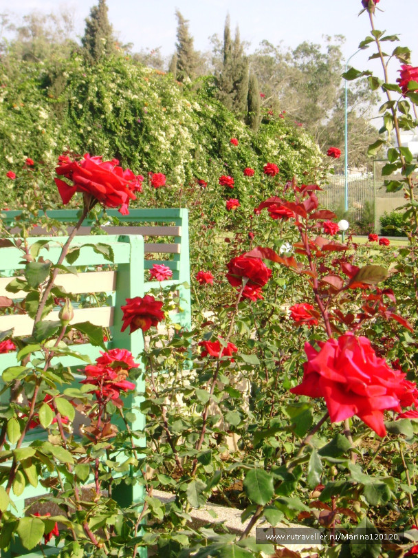 photo 676702