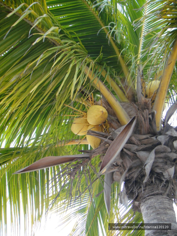 photo 676723