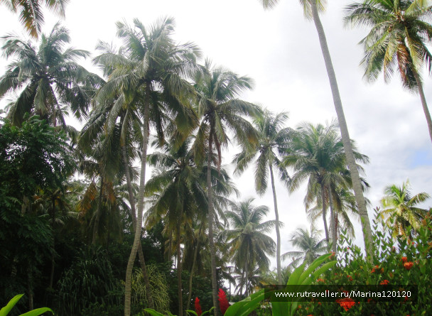 photo 676717