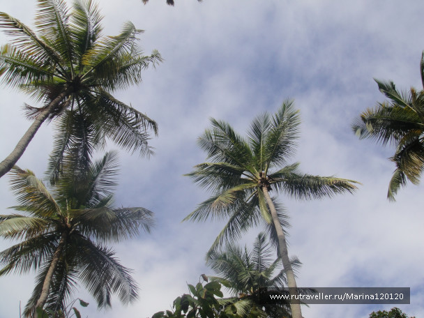 photo 676718