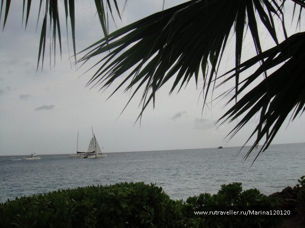 photo 676719