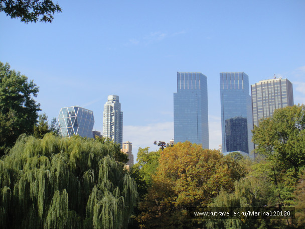 photo 676743