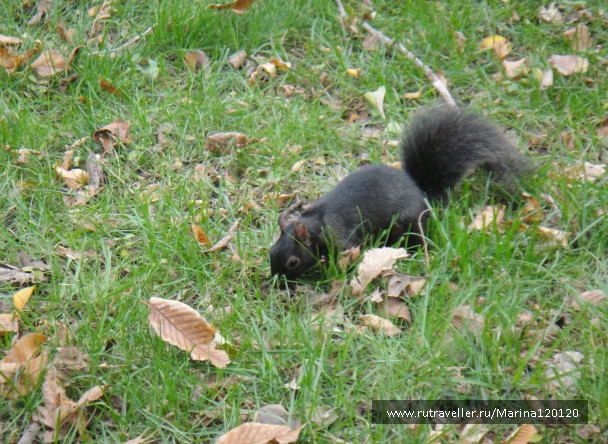 photo 676746