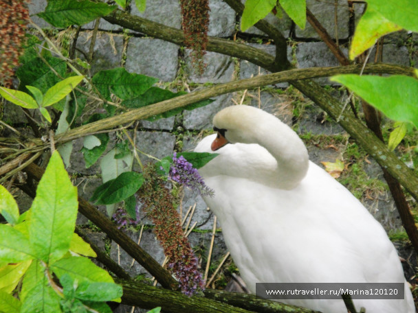 photo 676760