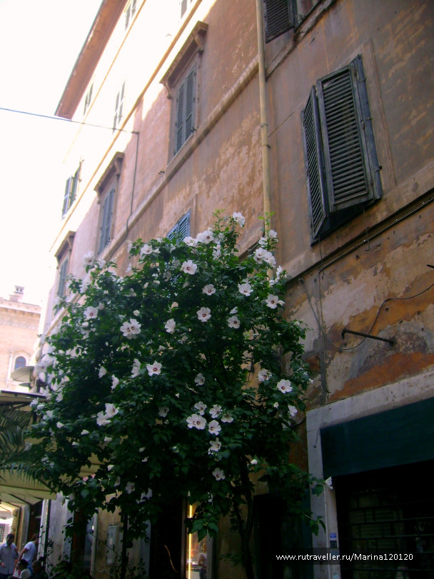 photo 676754