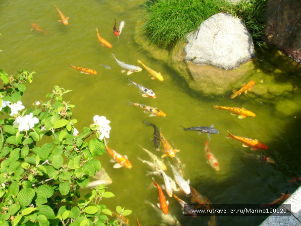 photo 691712