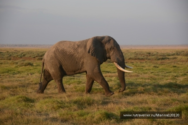 photo 753641