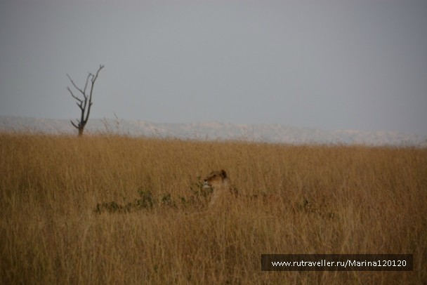 photo 753653