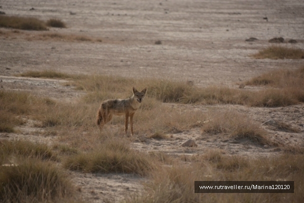 photo 753656