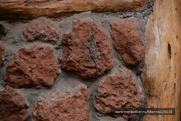 photo 753657