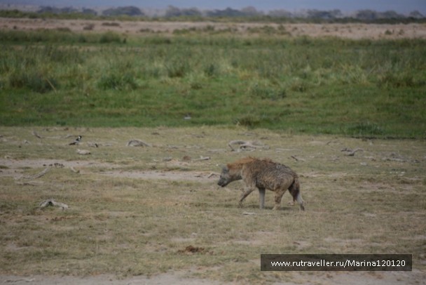 photo 753663