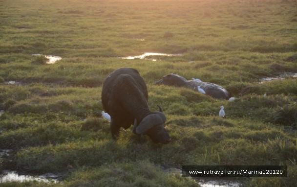 photo 753671