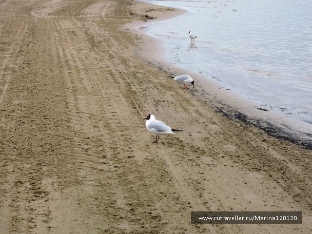 photo 776126