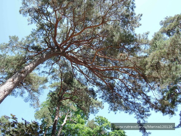 photo 776133