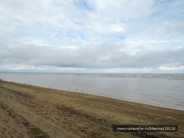 photo 778763