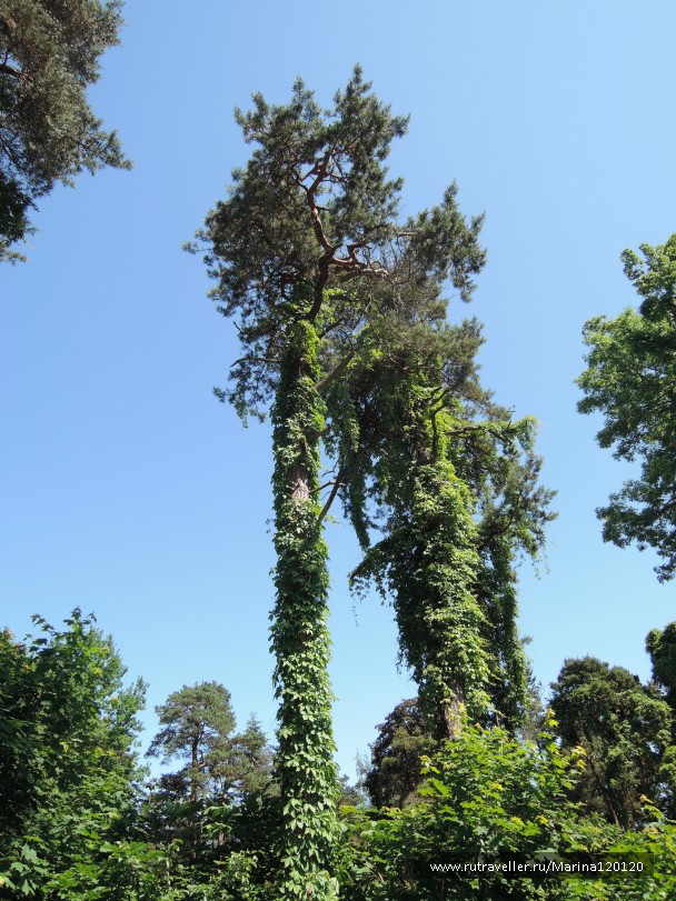photo 778776