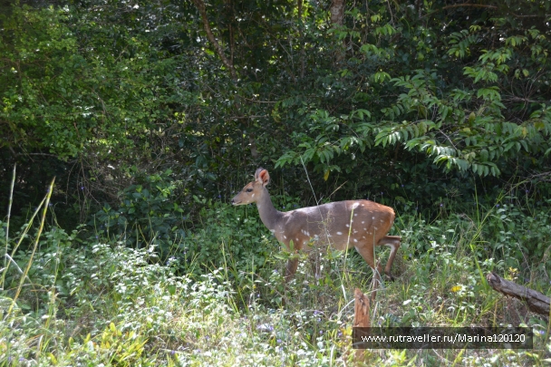 photo 800562
