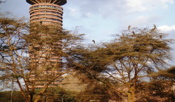 Найроби, дерево с марабу
