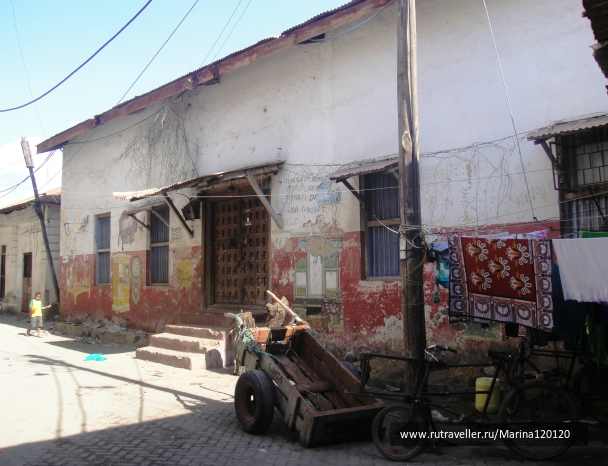 photo 800621