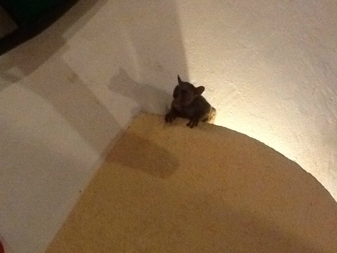     .    ,      .   ,  , .       ,         .      .  , ?