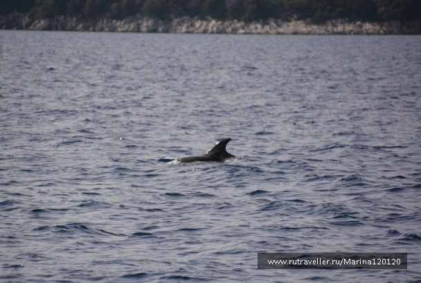 photo 876172