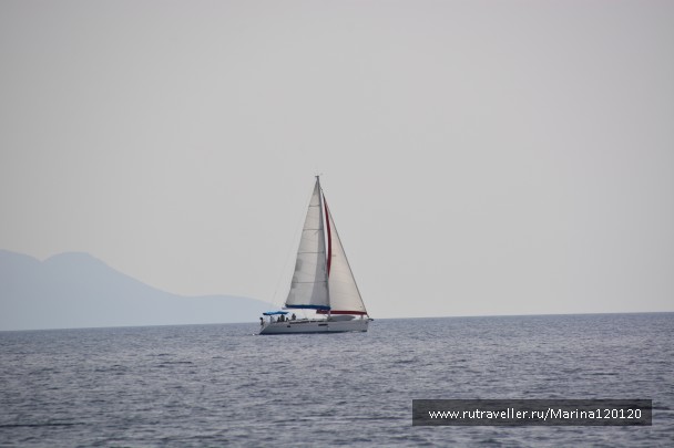 photo 876174