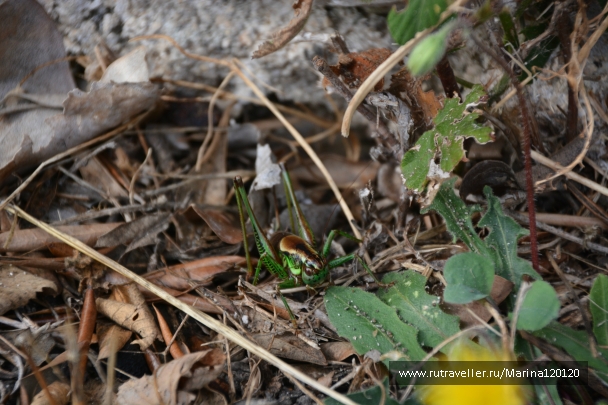 photo 910194