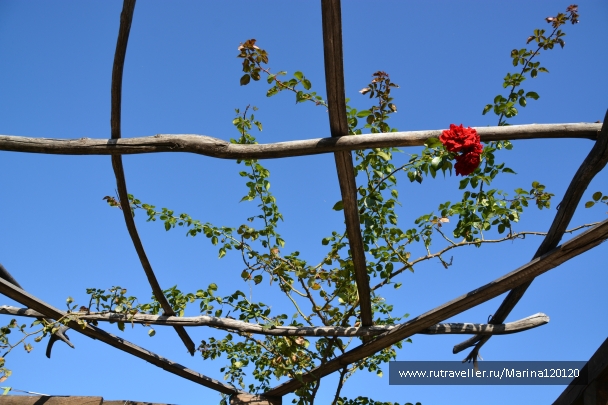 photo 912419
