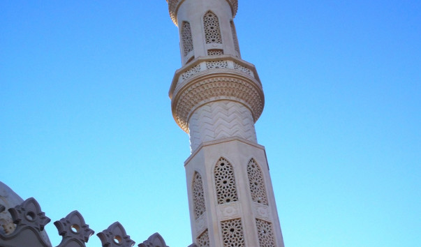 DSCF0275