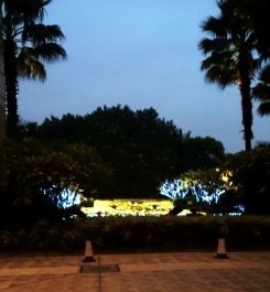 photo 1096527