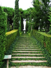 photo 877318