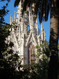 photo 999427