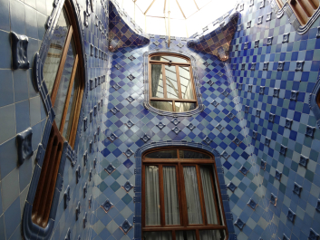 photo 1009868