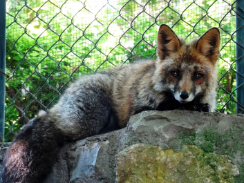 photo 1307091