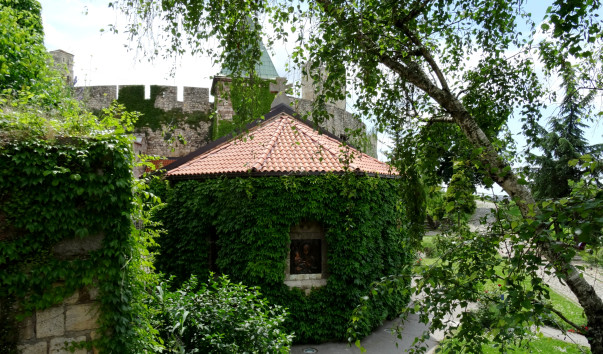 DSC09446