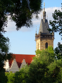 photo 1538323