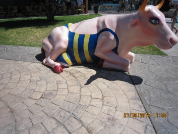 photo 779905