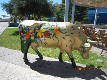 photo 779907