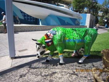 photo 779908