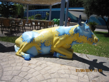 photo 779909
