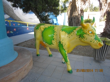 photo 779910