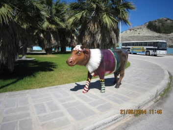 photo 779918