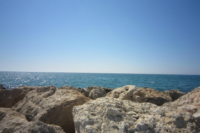 photo 899877