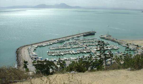 DSC01231
