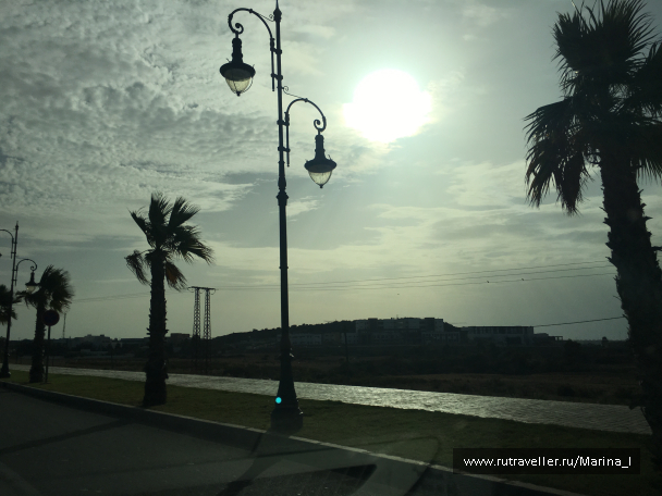 photo 1566691