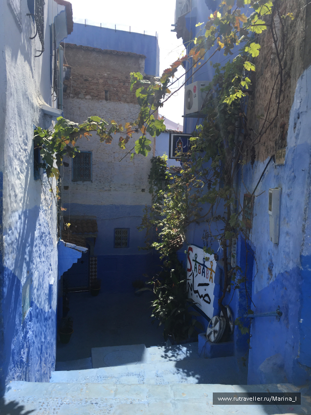 photo 1566699