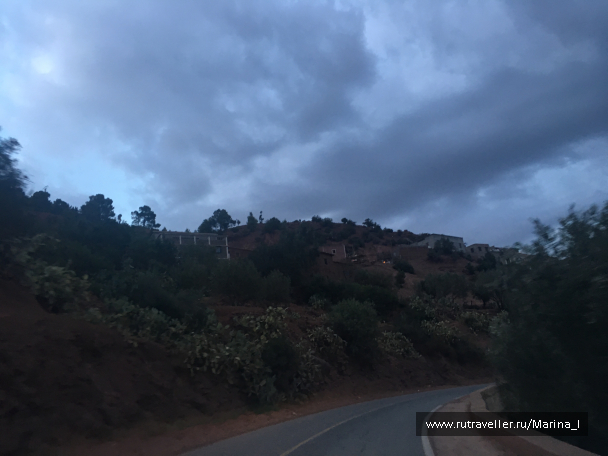 photo 1596206